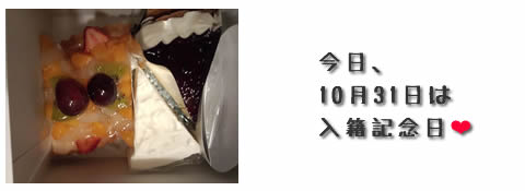 ケーキ1.jpg