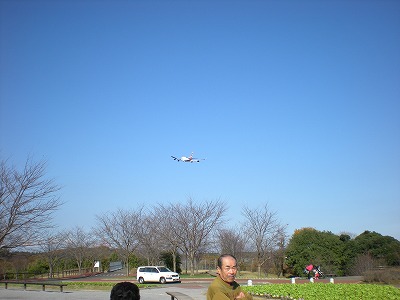 s-さくらの公園２ 005.jpg