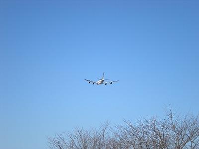 s-さくらの公園２ 009.jpg