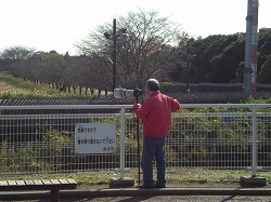 s-さくらの公園２ 011.jpg