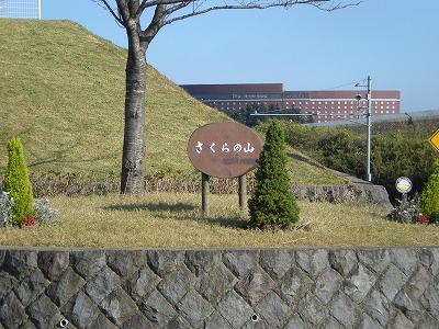 s-さくらの公園２ 015.jpg