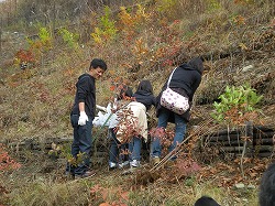 足尾植林２００９ 006.jpg