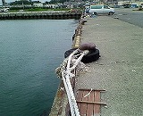 200806251458001.jpg